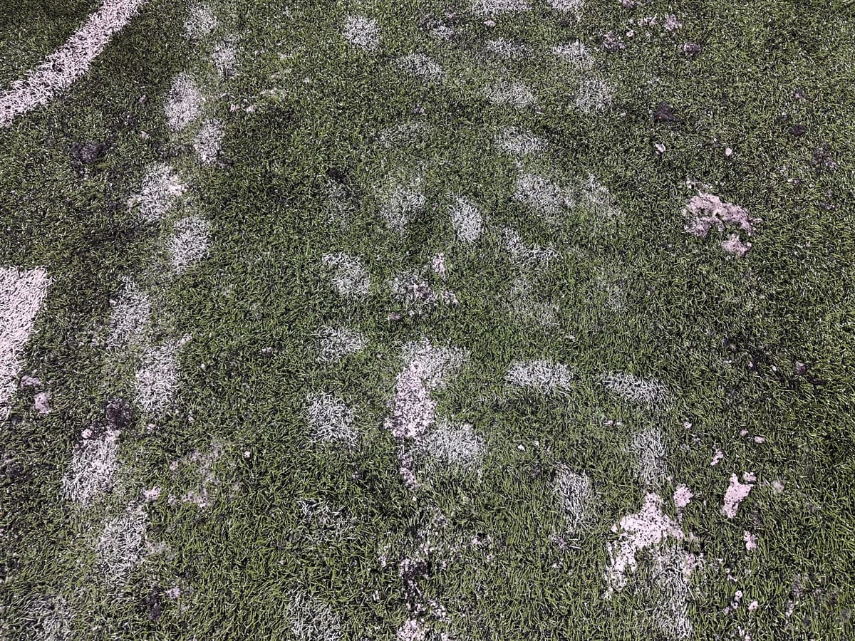 From The Field - Northwestern